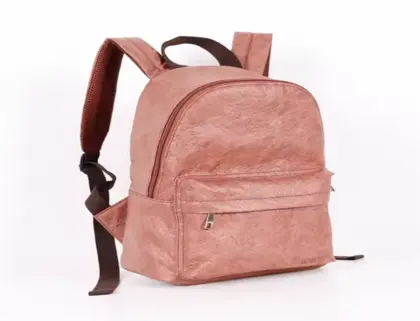 Tyvek Backpack