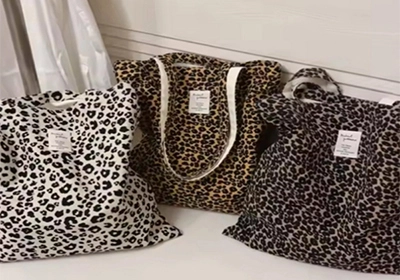 An Introduction to Canvas Taote Bag
