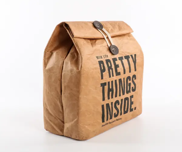 bag-to-carry-lunch-to-work.png