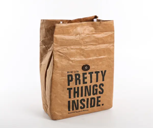 bag-with-lunch-compartment.png