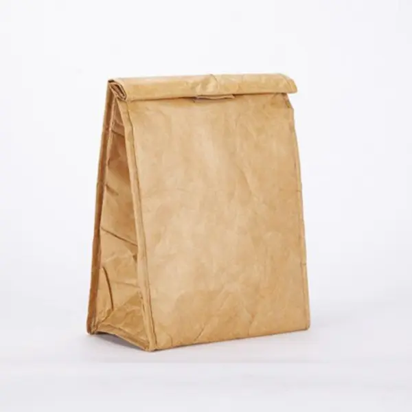 Dupont Tyvek Lunch Bag