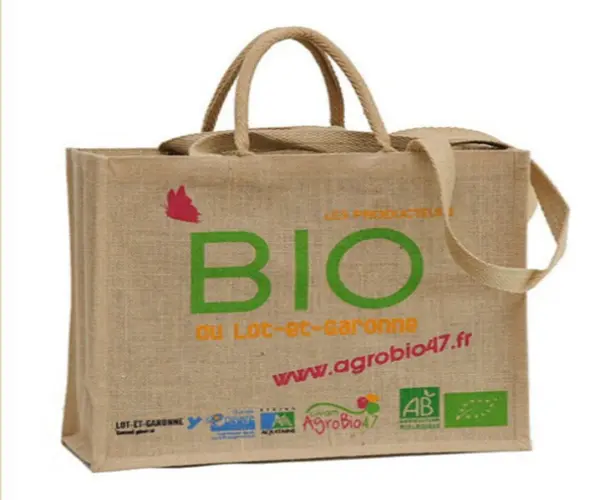 foldable-beach-bag