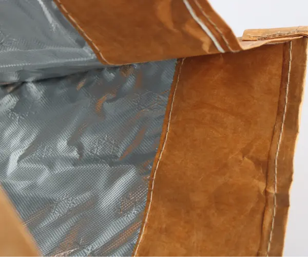 large-lunch-bag