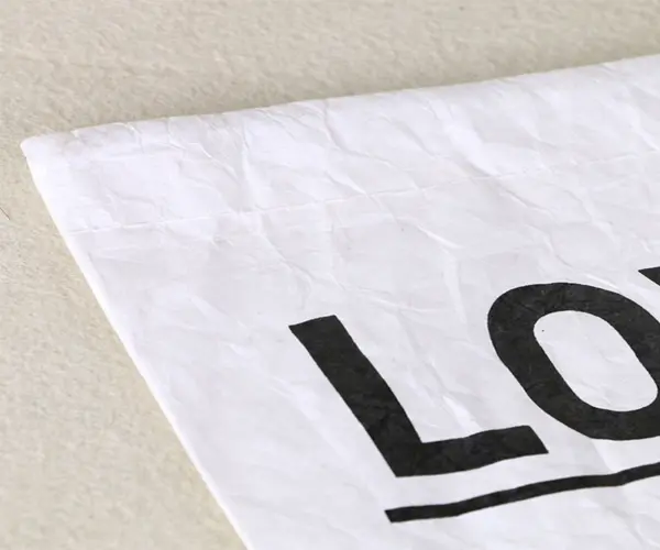 lunch-bag-big