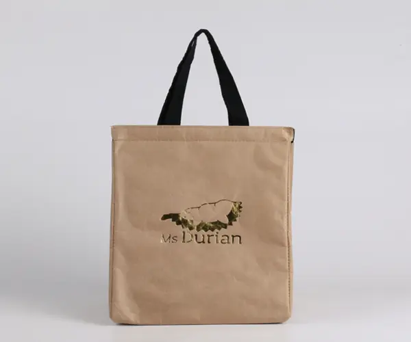 lunchbox-bag