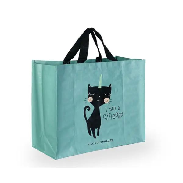 PP Woven Gift Shopping Bag
