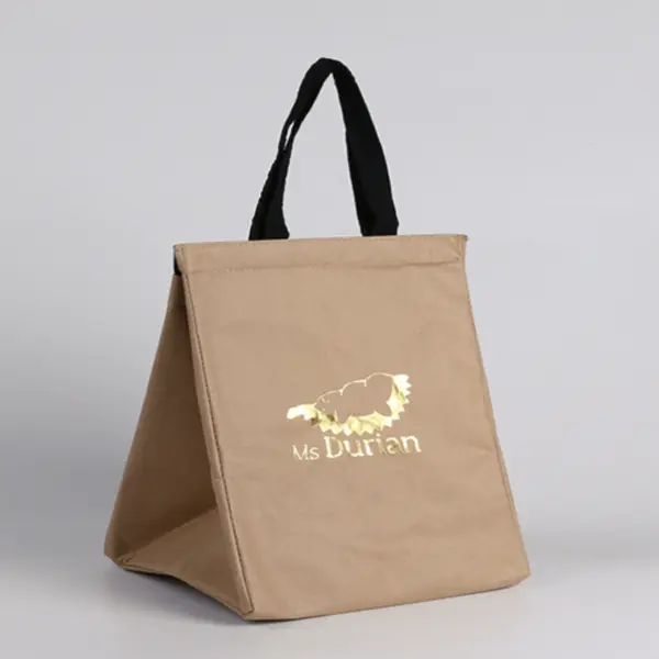 Custom Print Tyvek Paper Insulated Lunch Bag