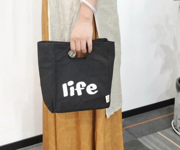 bag-to-carry-lunch-to-work