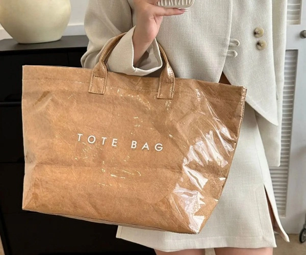 bag-with-lunch-compartment