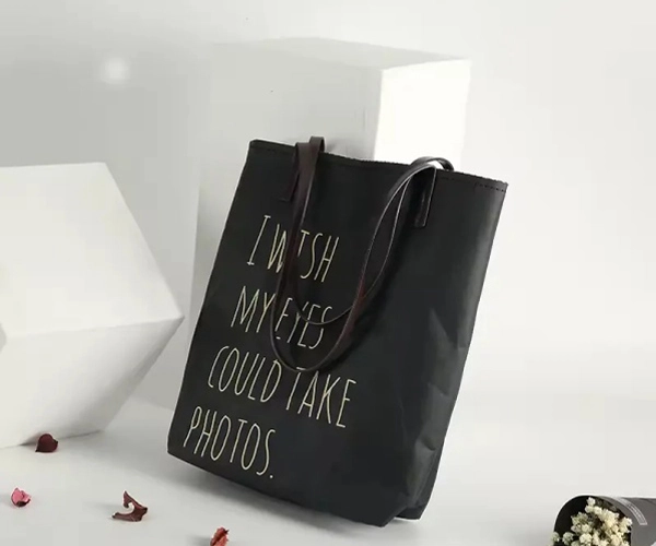 cat-lunch-bag
