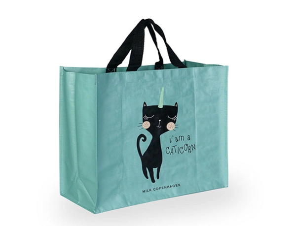 PP Woven Shopping Bag