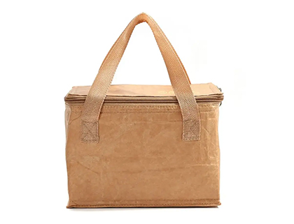 Tyvek Cooler Bag